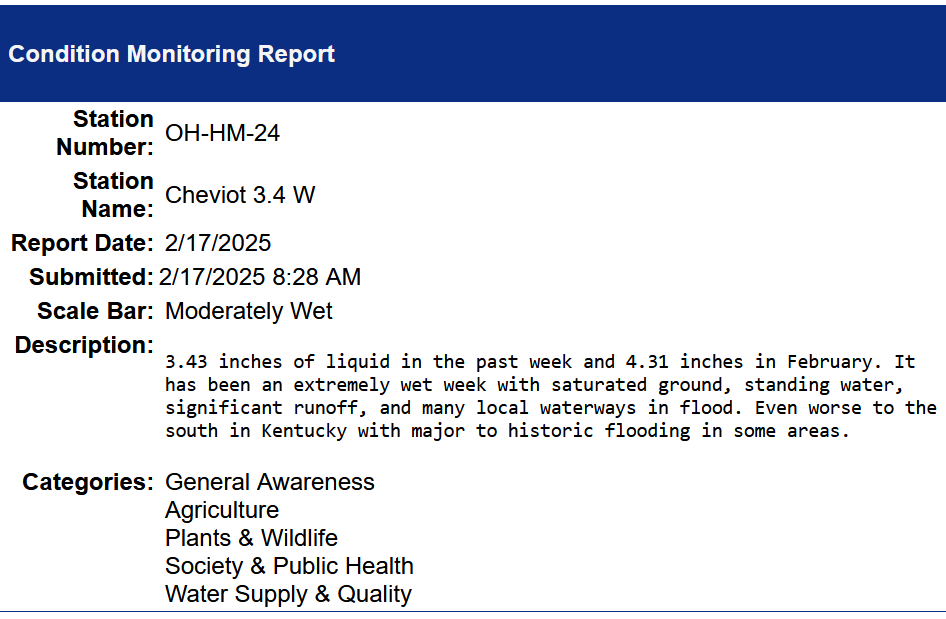 condition monitoring report feb 17, 2025